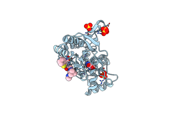 3O6I image