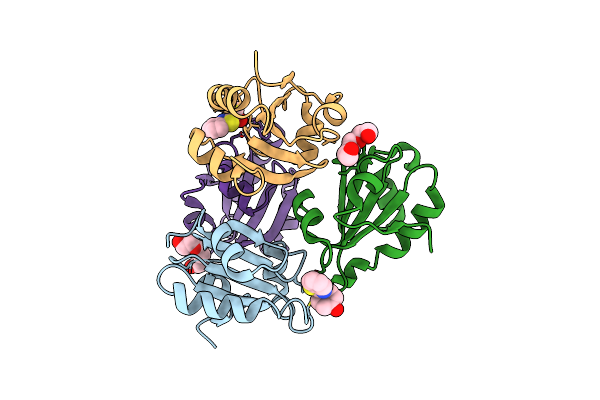 3O6T image