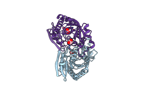 3O6V image