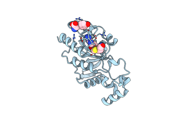3O7B image