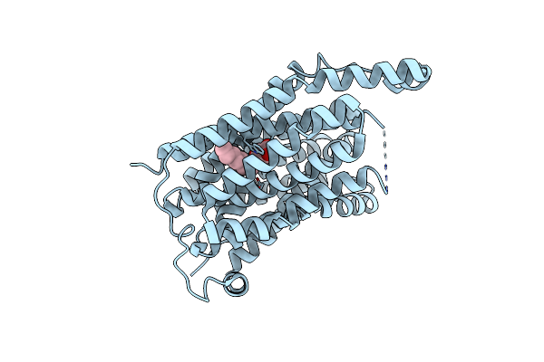 3O7P image