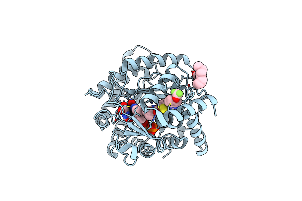 3O8A image