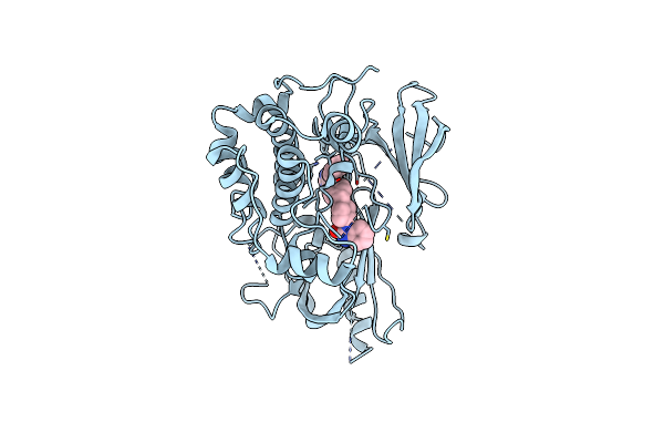 3O96 image