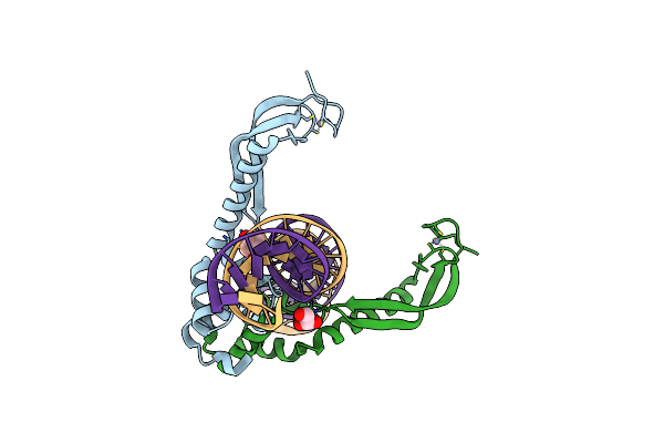 3O9X image