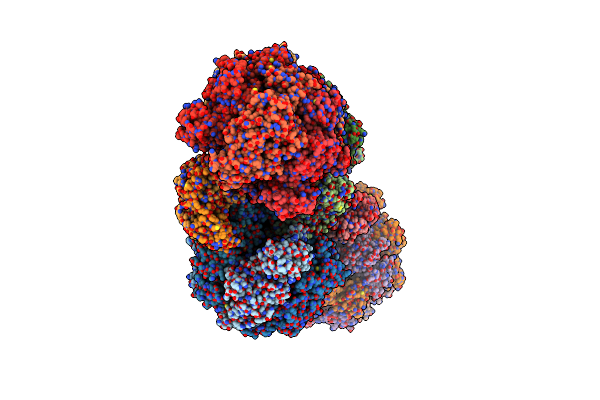 3OAA image