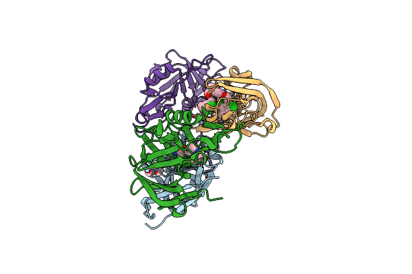 3OAG image
