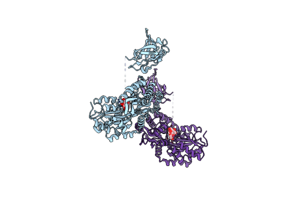 3OAI image