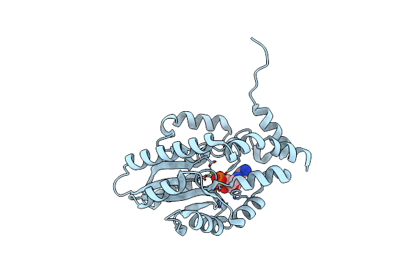 3OCX image