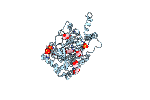 3OD4 image