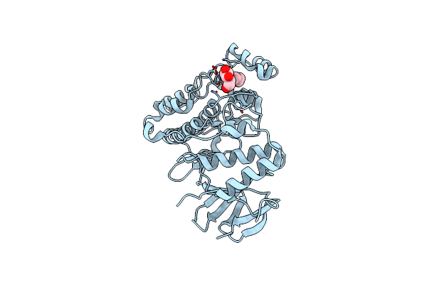 3OD6 image
