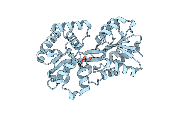 3ODB image