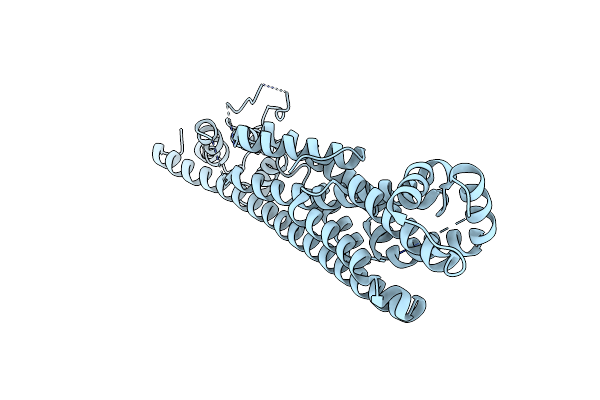 3ODN image