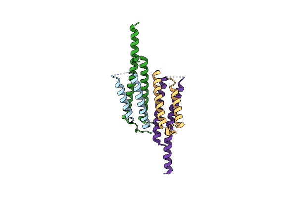 3OGI image