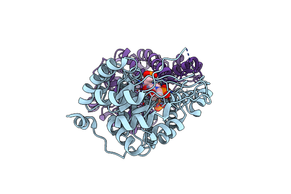 3OHI image