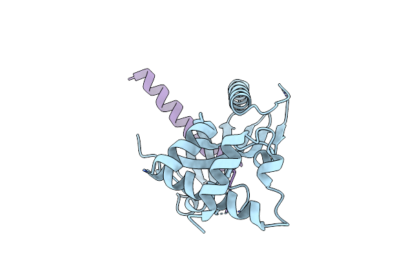 3OIQ image