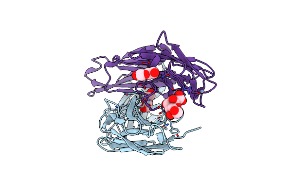 3OKD image