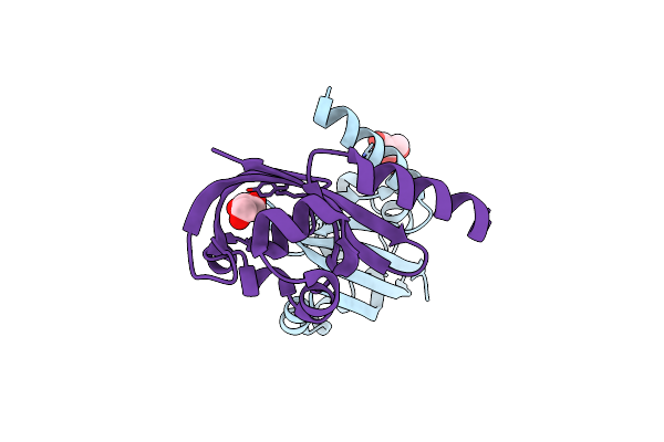 3OLO image