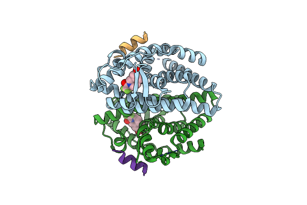 3OMP image