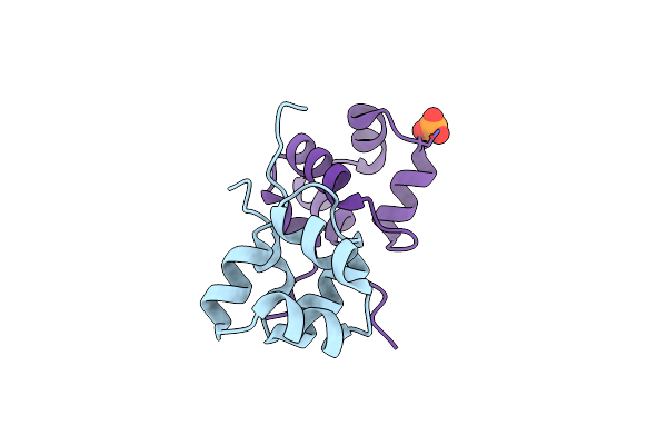 3OMT image