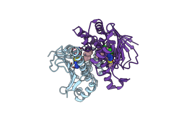 3OMU image