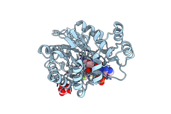 3ONC image