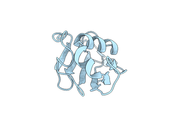 3ONH image