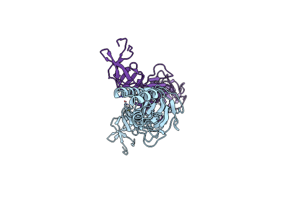 3OPO image