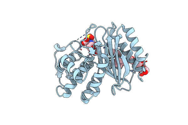 3OPR image