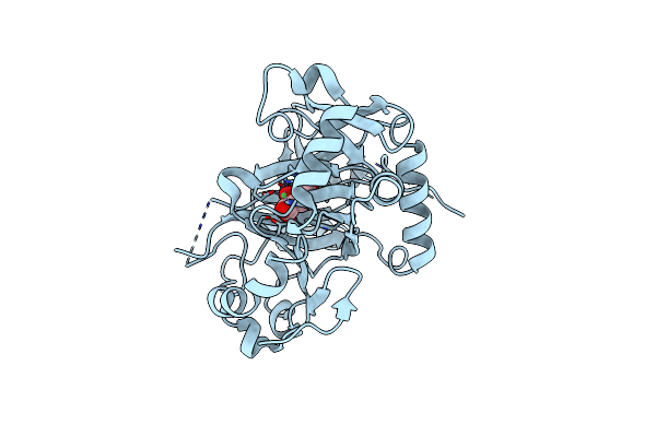 3OPT image