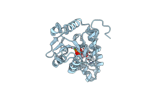 3OPX image