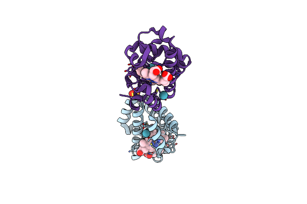 3ORD image