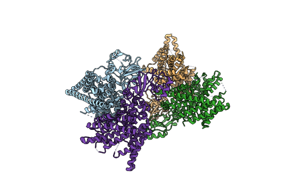 3ORG image