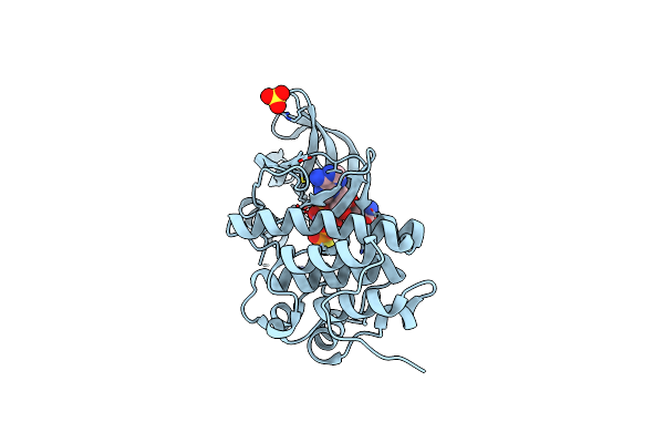 3ORK image