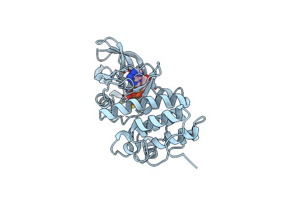 3ORL image