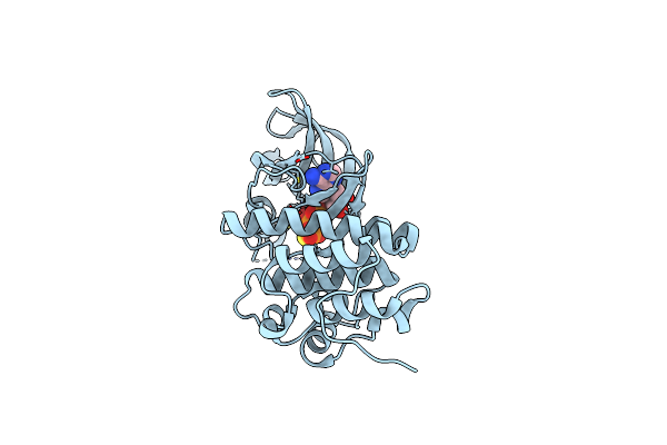 3ORP image