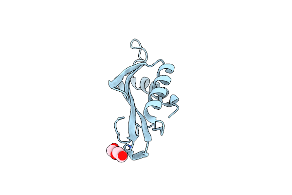 3OSE image