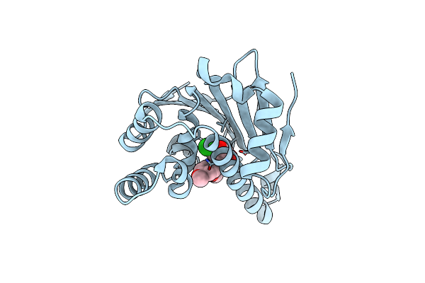 3OWB image
