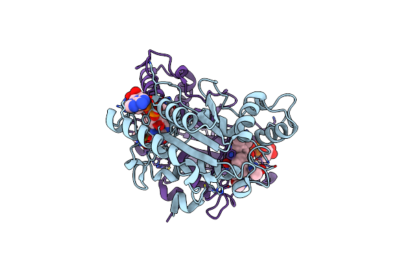 3OX1 image