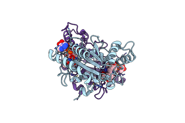 3OX2 image