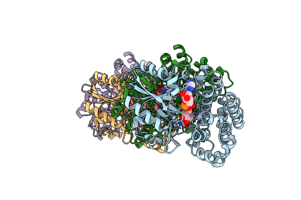 3OX4 image