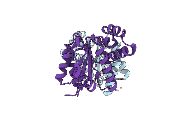3OZI image