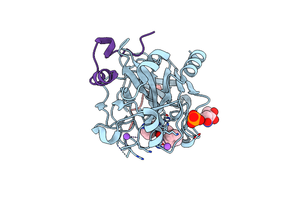 3P17 image