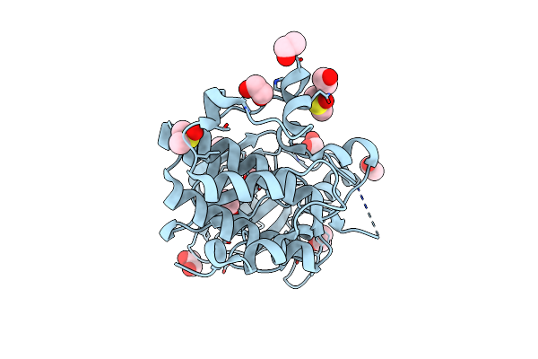 3P1A image
