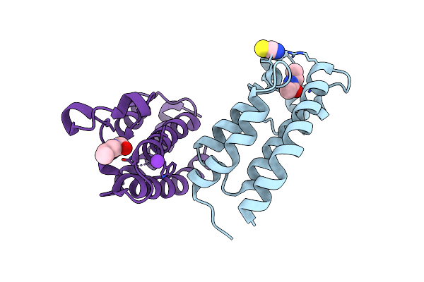 3P1C image