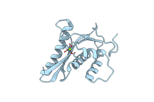 3P1G image