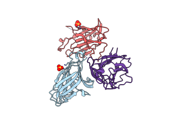 3P1I image