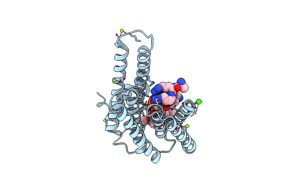 3P1O image