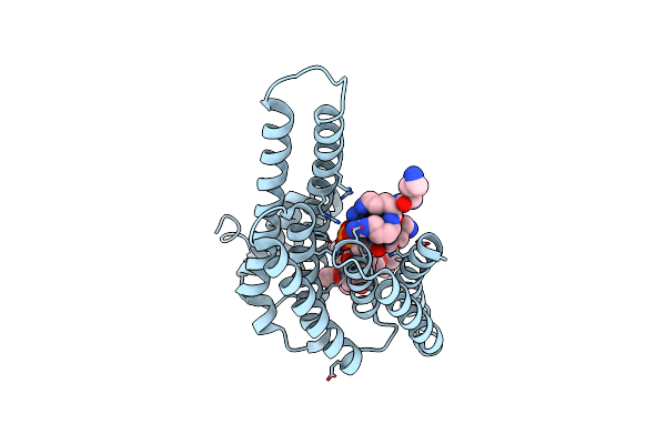 3P1S image