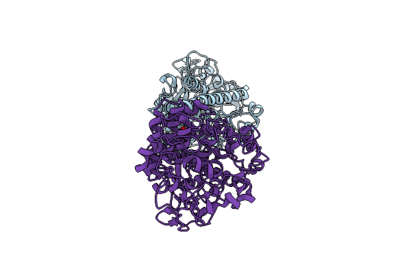 3P1U image