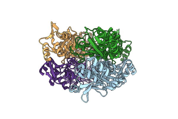 3P1Y image
